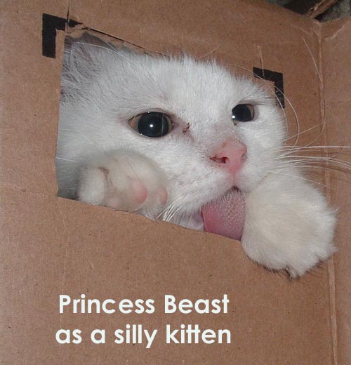 Princess Beast as a silly kitten